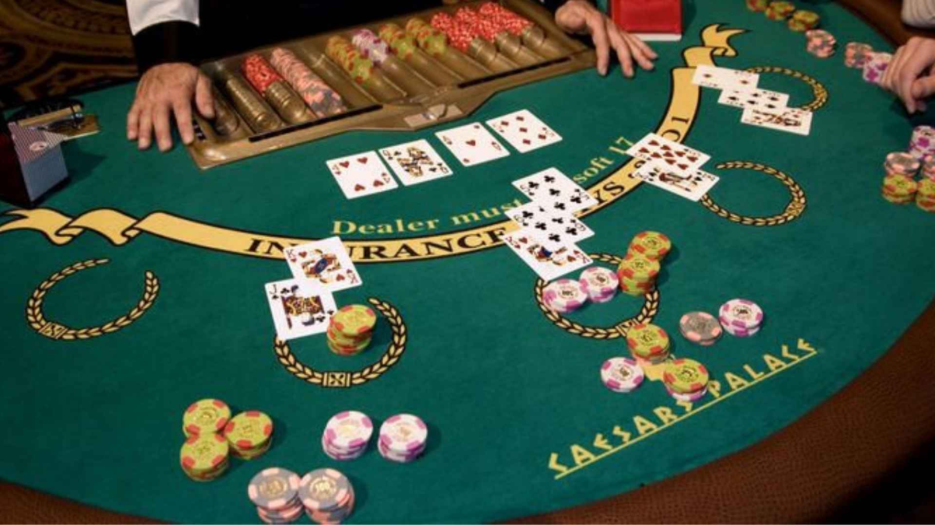 Card Playing Language For Confident Decisions